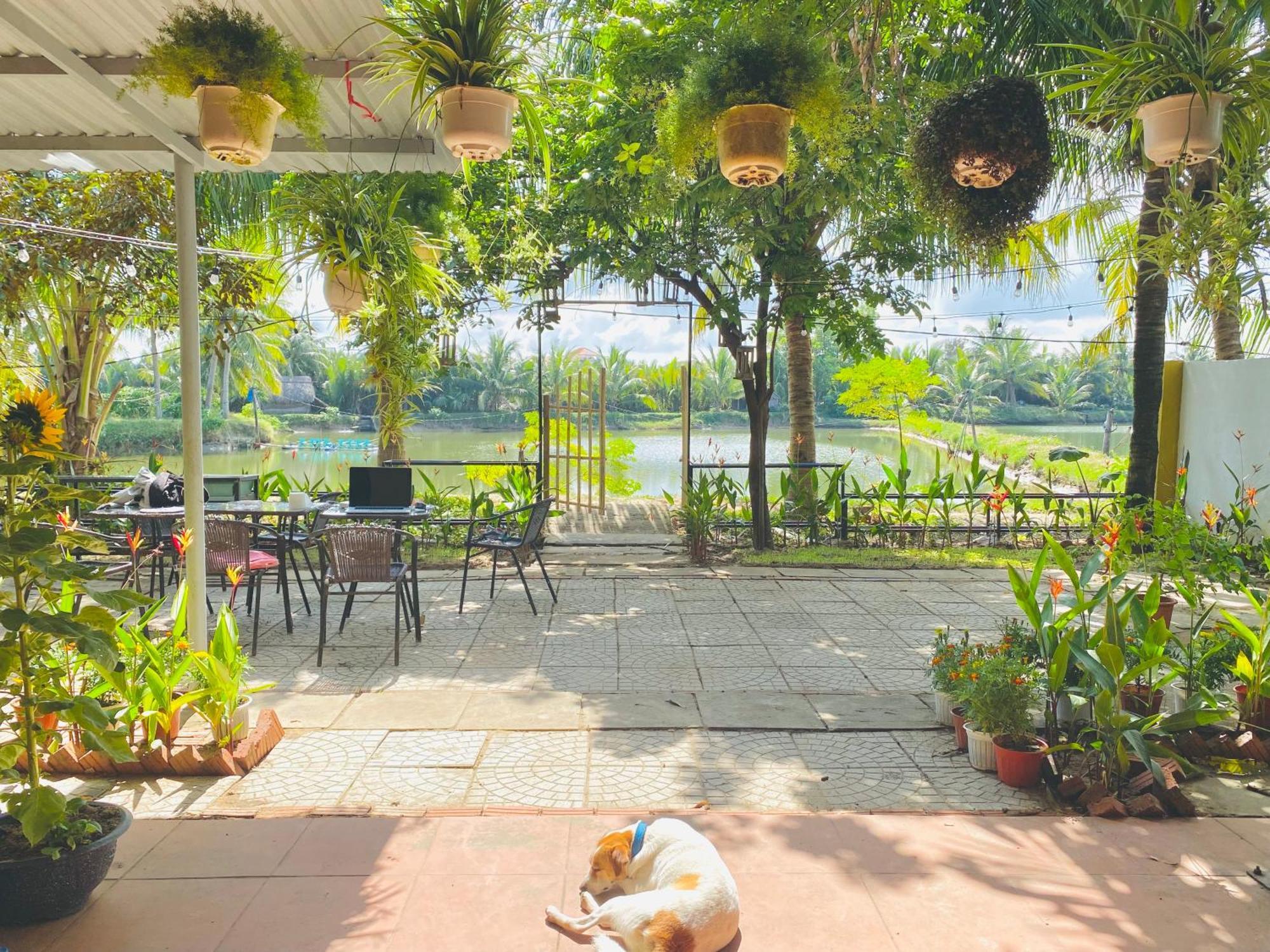 Laoxao Lakeview Homestay Хой Ан Екстериор снимка